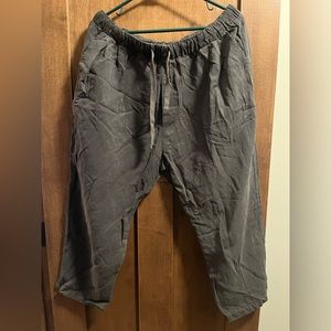 Zara cropped pant